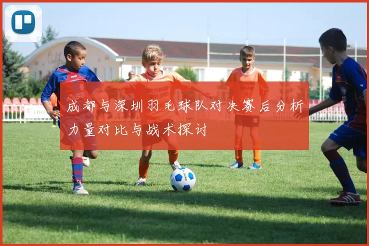 成都与深圳羽毛球队对决赛后分析力量对比与战术探讨
