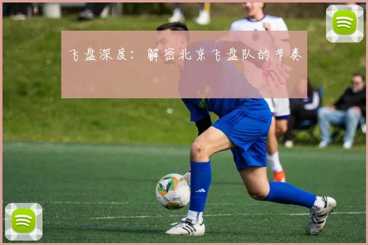 飞盘深度：解密北京飞盘队的节奏