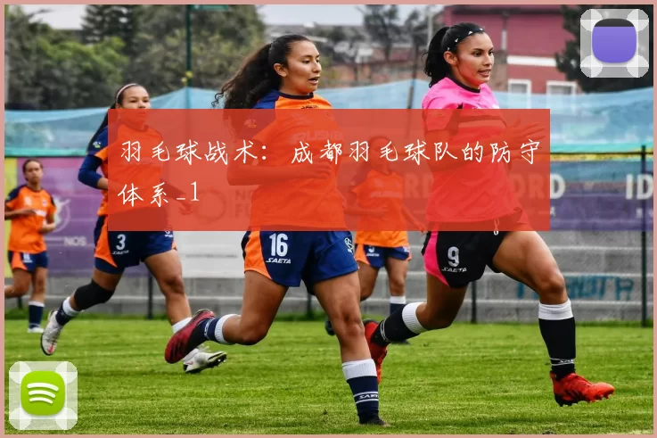 羽毛球战术：成都羽毛球队的防守体系_1