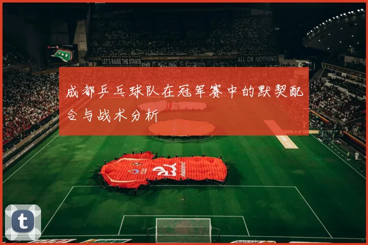 成都乒乓球队在冠军赛中的默契配合与战术分析